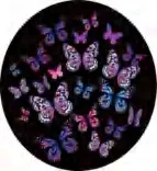 Gobo 894