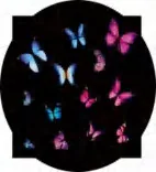 Gobo 901