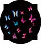 Gobo 908