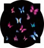 Gobo 910
