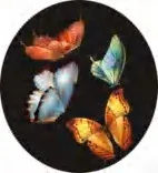 Gobo 921
