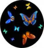 Gobo 936