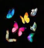 Gobo 939