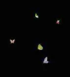Gobo 949