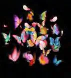 Gobo 951