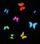 Gobo 955