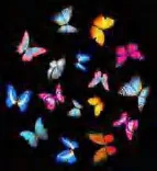 Gobo 960