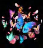 Gobo 962