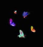 Gobo 968