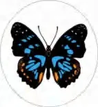 Gobo 972