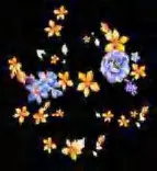 Gobo 977