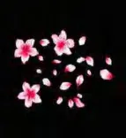 Gobo 991