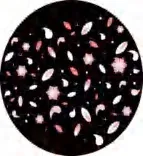 Gobo 997
